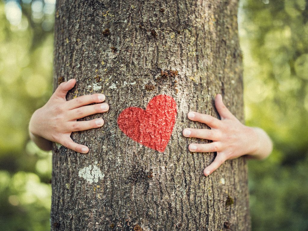 Menschenhände umarmen Baum mit rotem Herz