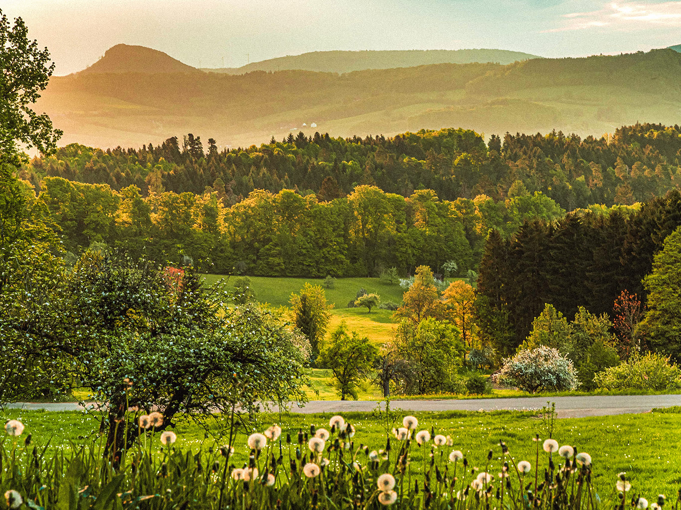 Die AlbCard gratis Erlebnisse & freie Fahrt prisma