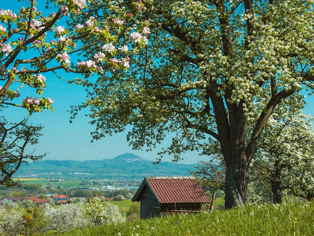 Die Landschaft um Eschenbach zeigt ein kleines Häuschen auf einer Wiese, neben dem ein großer Baum wächst