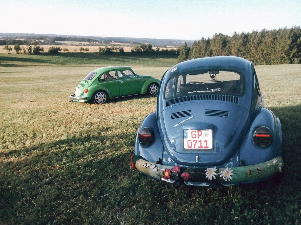 Zwei VW Käfer stehen auf einer Wiese