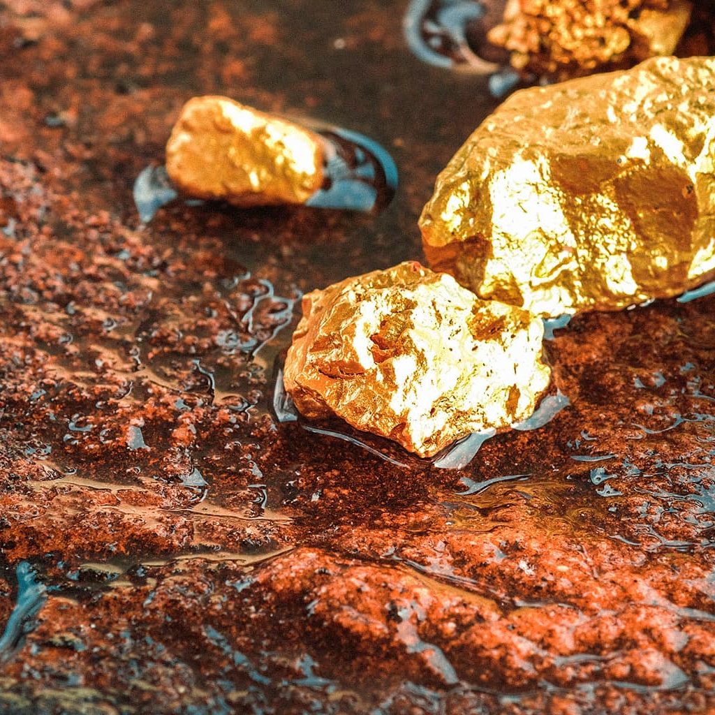 Mehrere kleine Gold-Nuggets liegen in einem Bachbett