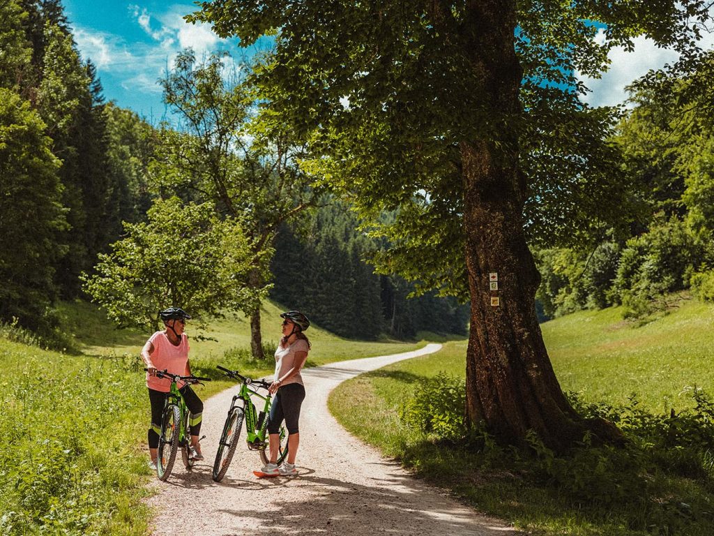Zwei Radfahrerinnen stehen mit ihren Fahrrädern auf dem Weg neben einem Baum und unterhalten sich