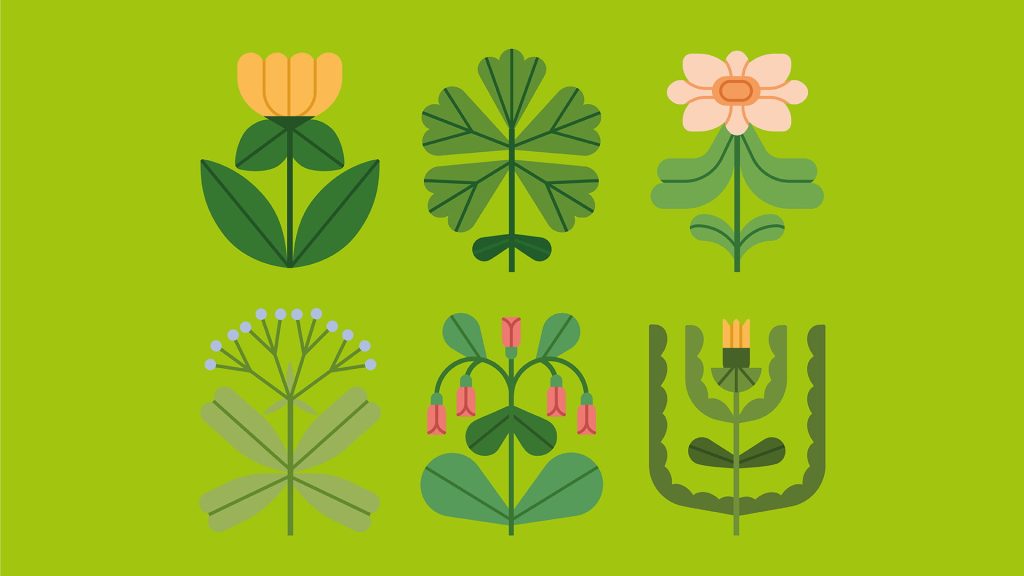 Grafische Illustration mit sechs stilisierten Blumen und Pflanzen in verschiedenen Formen und Grüntönen auf hellgrünem Hintergrund.