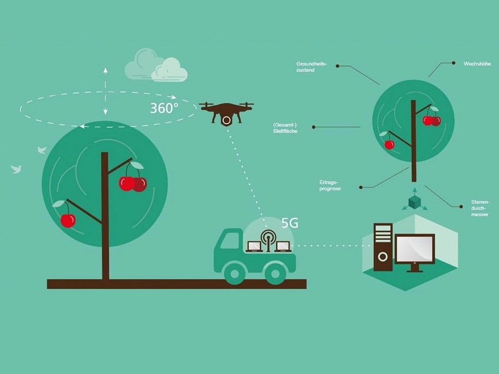 Illustration zur digitalen Obstbauüberwachung: Drohne scannt Kirschbäume, misst Gesundheitszustand, Blattfläche, Stammumfang und Wuchshöhe; Daten werden per 5G an Computer zur Ertragsprognose übermittelt. Bild der Hochschule Weihenstephan-Triesdorf für Vortragsreihe "Agrarwende" des Göppinger Technikforums.