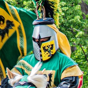 Ritter in grüner Rüstung mit Helm und Wappen beim Mittelaltermarkt Göppingen 2025