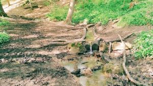Kleiner Bachlauf im Wald am Erlebnispfad Sinneswandel in Bad Boll mit Holzrinne und moosbewachsenen Steinen