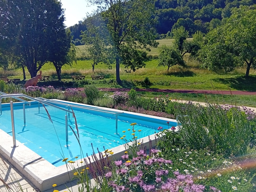 Modernes Kneippbecken im FiTal-Park Bad Ditzenbach, umgeben von blühenden Stauden und Natur.