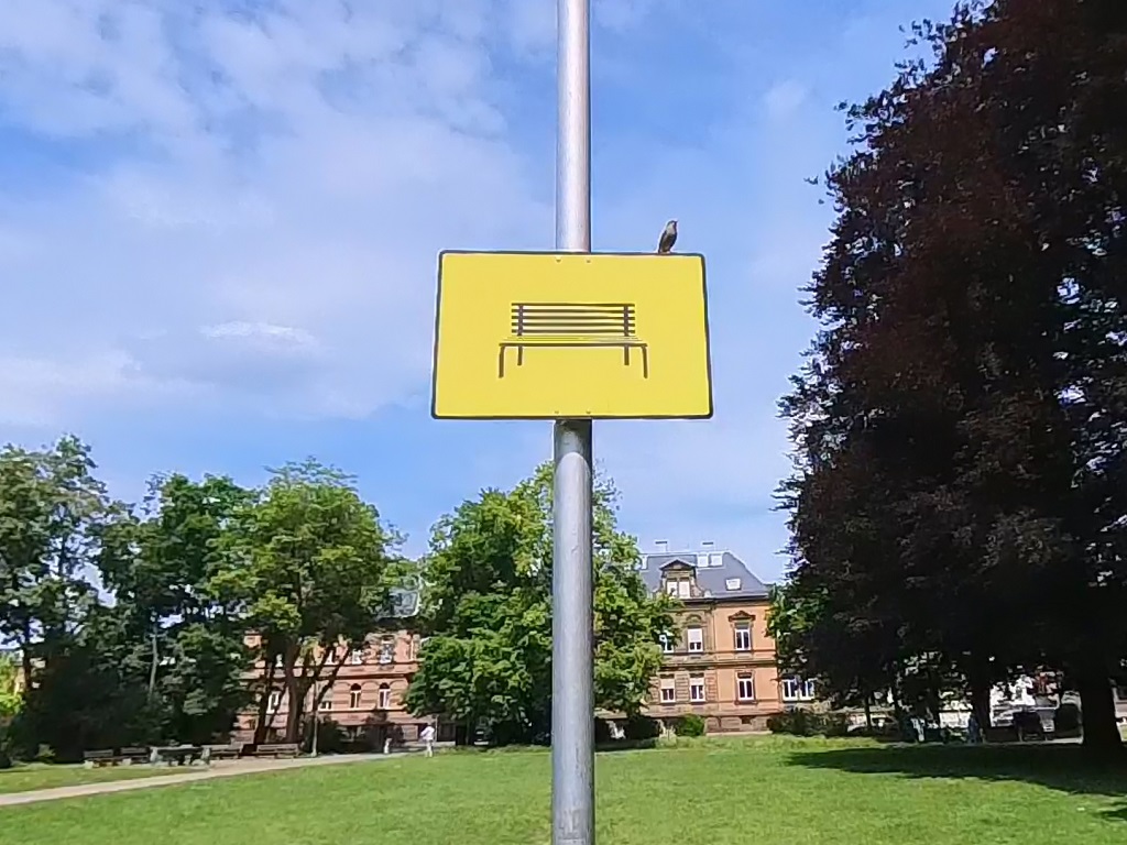 Kunst im Sommer 2025 in Göppingen: Szene aus dem 360°-Film Route 21: A City Sign Documentary. Zu sehen ist ein gelbes Schild mit der Darstellung einer Parkbank an einem Laternenmast im Grünen; Teil der Installation 21 Signs for a City in Göppingen. Ein Vogel sitzt auf dem Schild.