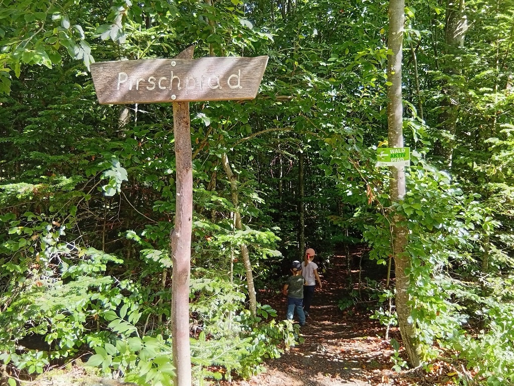 Kinder entdecken den Pirschpfad im WaldAktivPfad im Schlater Wald