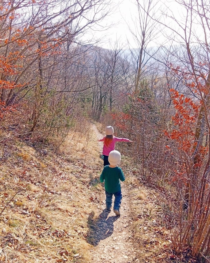 Kinder wandern fröhlich auf einem Naturpfad im Haarberg-Wasserberg – unterwegs bei der interaktiven Schatzsuche durch Wald und Wiesen.