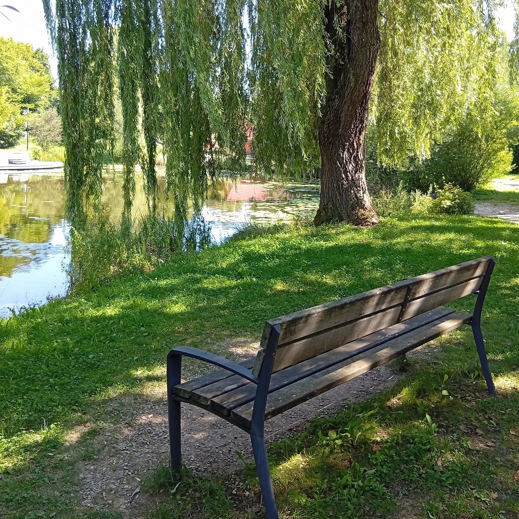Sitzbank im Schatten am See im Landschaftspark Schlierbach für Familienausflug.