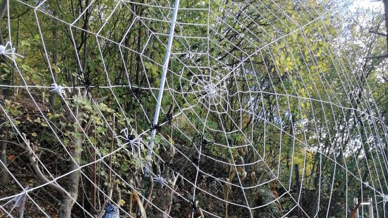 Großes Spinnennetz mit schwarzen und weißen Spinnen als Halloween-Dekoration im Freien, vor herbstlich bunten Bäumen.