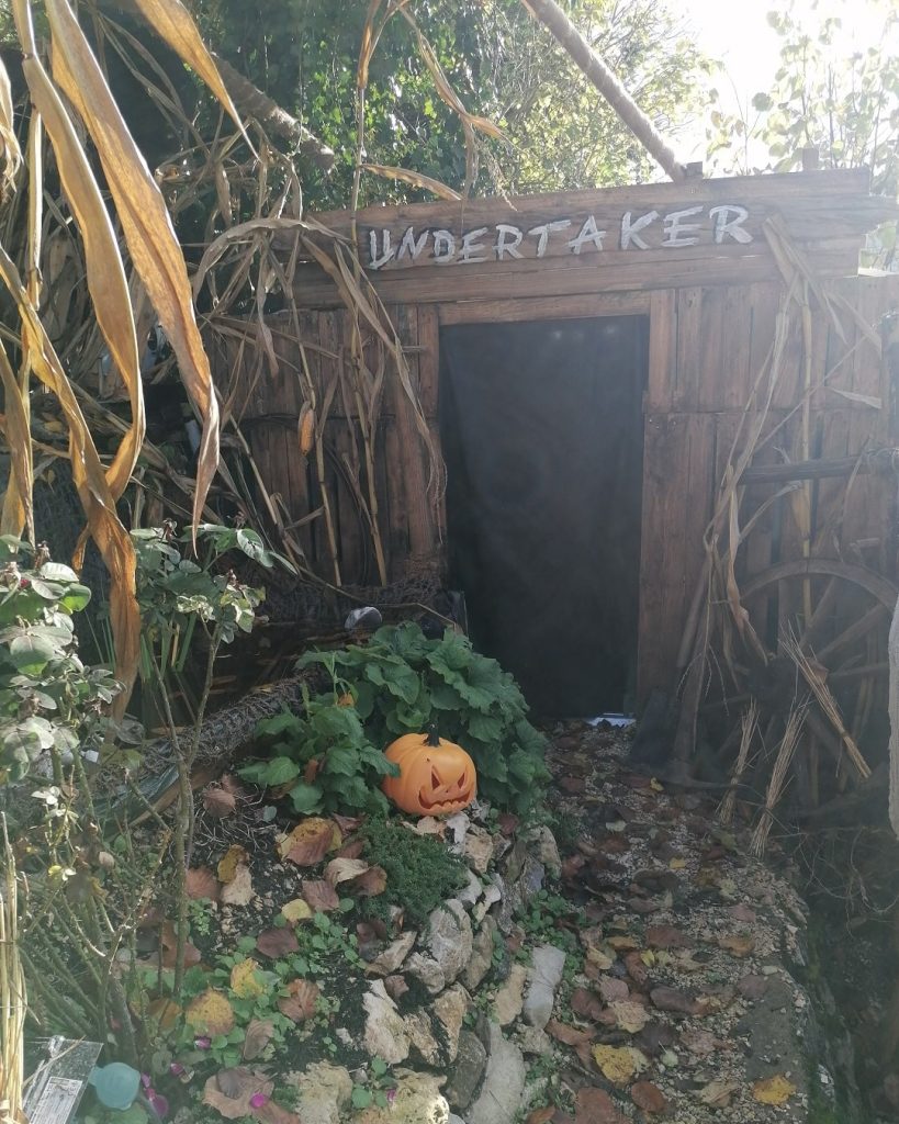 Halloween-Dekoration am Gruselhaus in Geislingen-Eybach mit Holzhütte „Undertaker“, Kürbis und herbstlicher Szenerie.