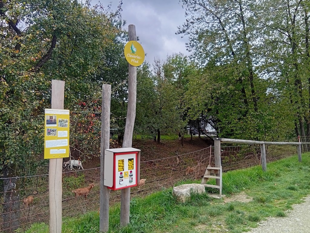 Station am Cleverles-Pfad Eschenbach mit Infotafel und umfunktioniertem Kaugummiautomaten, der Holzkugeln für die Kugelbahn ausgibt – Lernen mit Spiel und Spaß.