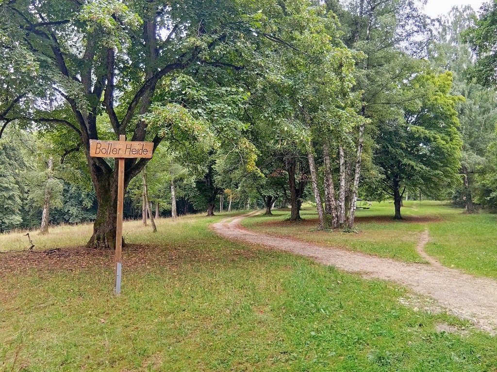 Rastplatz auf der Boller Heide entlang des Steingesichter-Pfad in Bad Boll