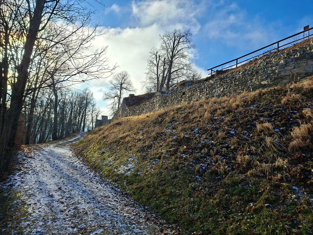 Schmaler Wanderweg im winterlichen Wald, der entlang einer steinernen Mauer zur Hiltenburg hinaufführt, mit kahlen Bäumen und leicht verschneitem Boden.