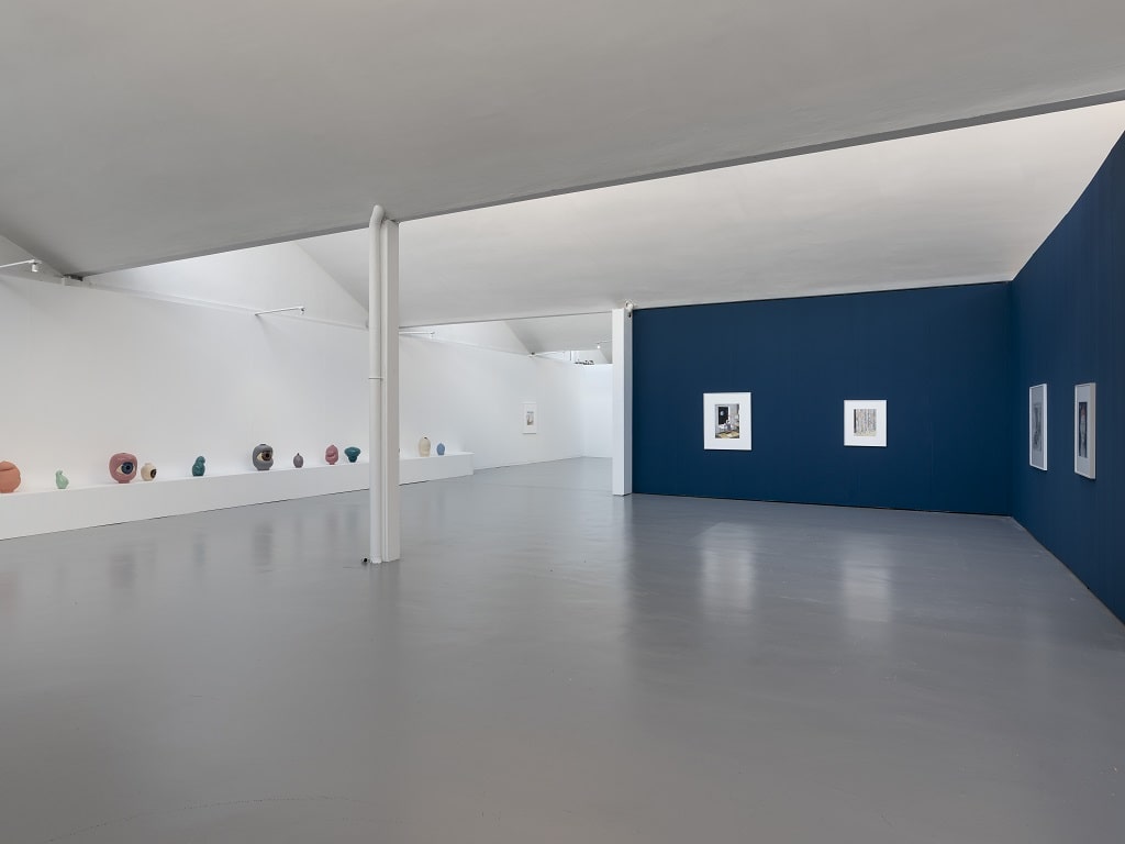 Ausstellung Furry Flowers in der Kunsthalle Göppingen mit Keramikobjekten auf weißen Sockeln und großformatigen Zeichnungen an der Wand.