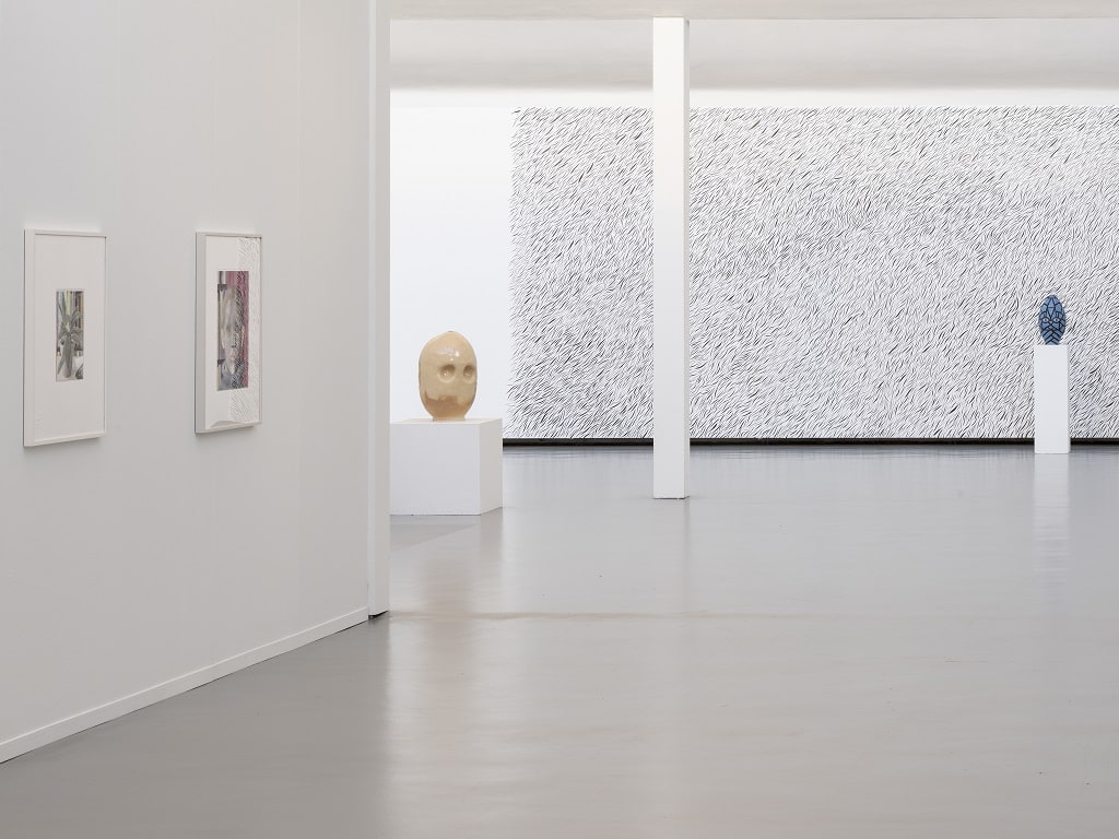 Ausstellungsraum mit Zeichnungen an der Wand und Keramikobjekten auf Sockeln in der Ausstellung Furry Flowers.