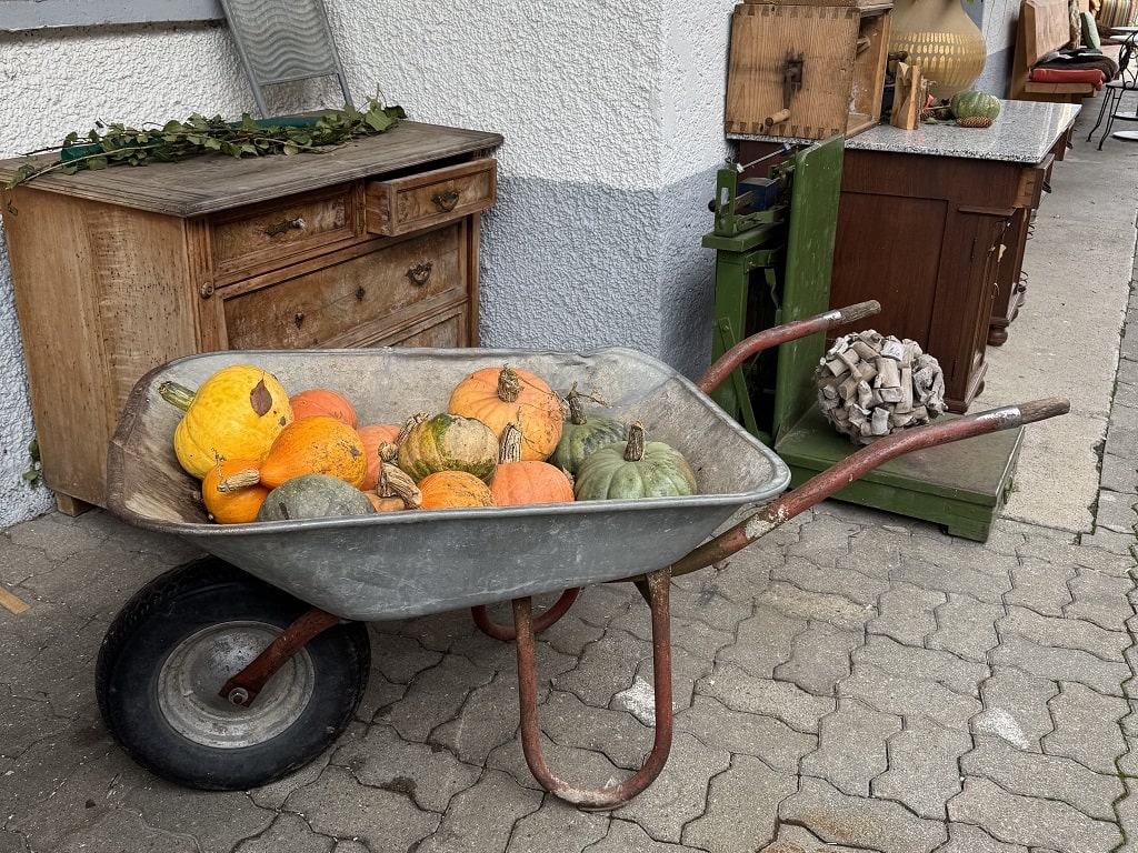 Ernte aus regionalem Anbau bei CarboCert: Kürbisse stehen für gesunde Böden, Humusaufbau und nachhaltige Landwirtschaft.