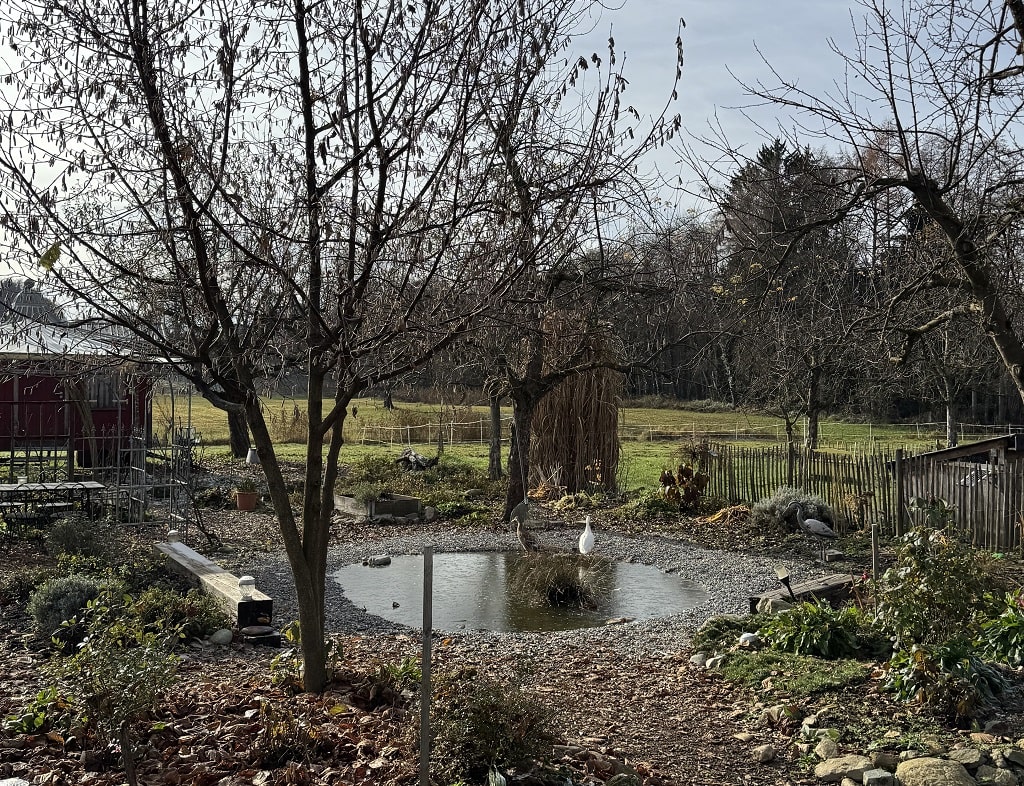 Humusaufbau bei CarboCert stärkt Biodiversität, Böden und regionalen Klimaschutz.