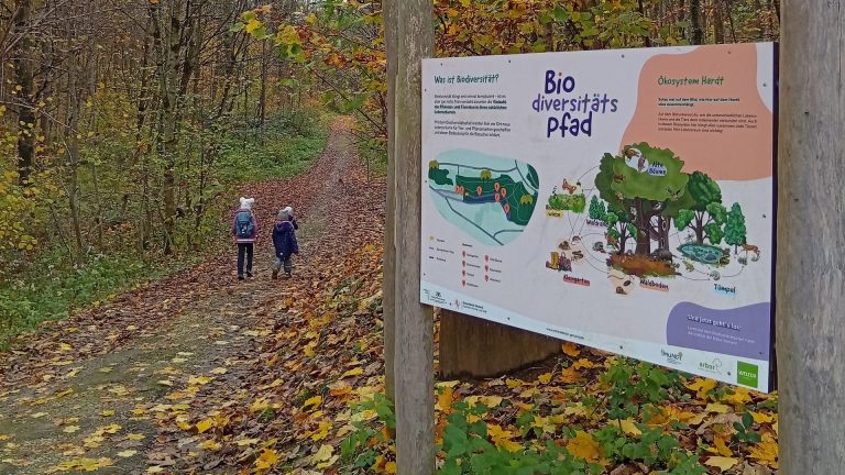 Zwei Kinder gehen auf dem Biodiversitätspfad Hardt in Schwäbisch Gmünd an einer Informationstafel entlang