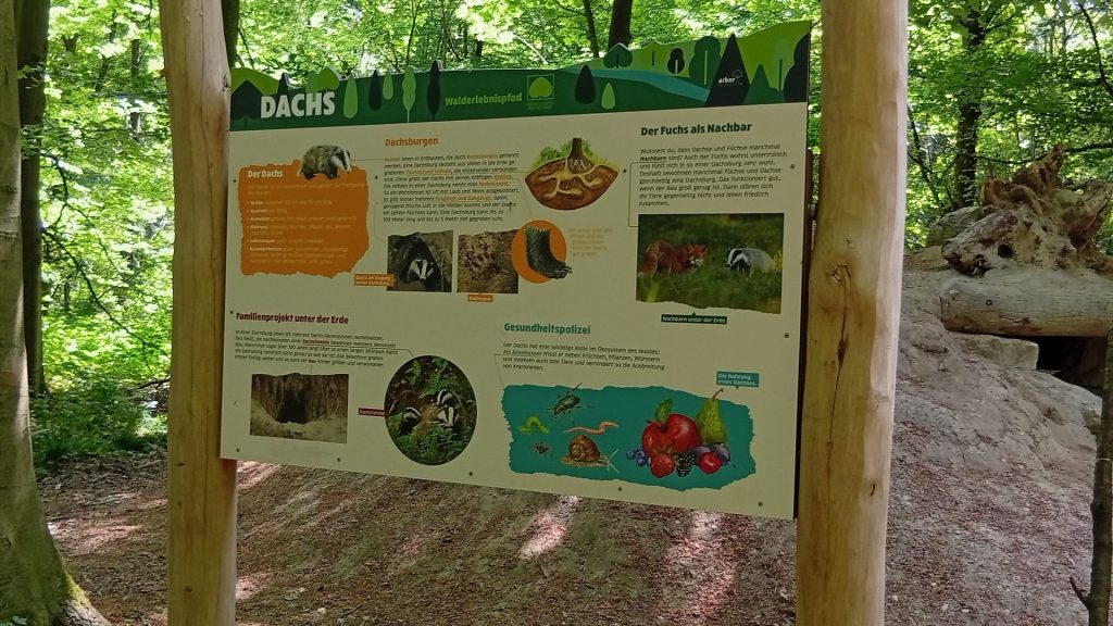 Infotafel „Dachs“ am Walderlebnispfad Wendlingen im Wald, mit Abbildungen von Dachs und Fuchs sowie erklärenden Texten zu Lebensweise und Lebensraum.