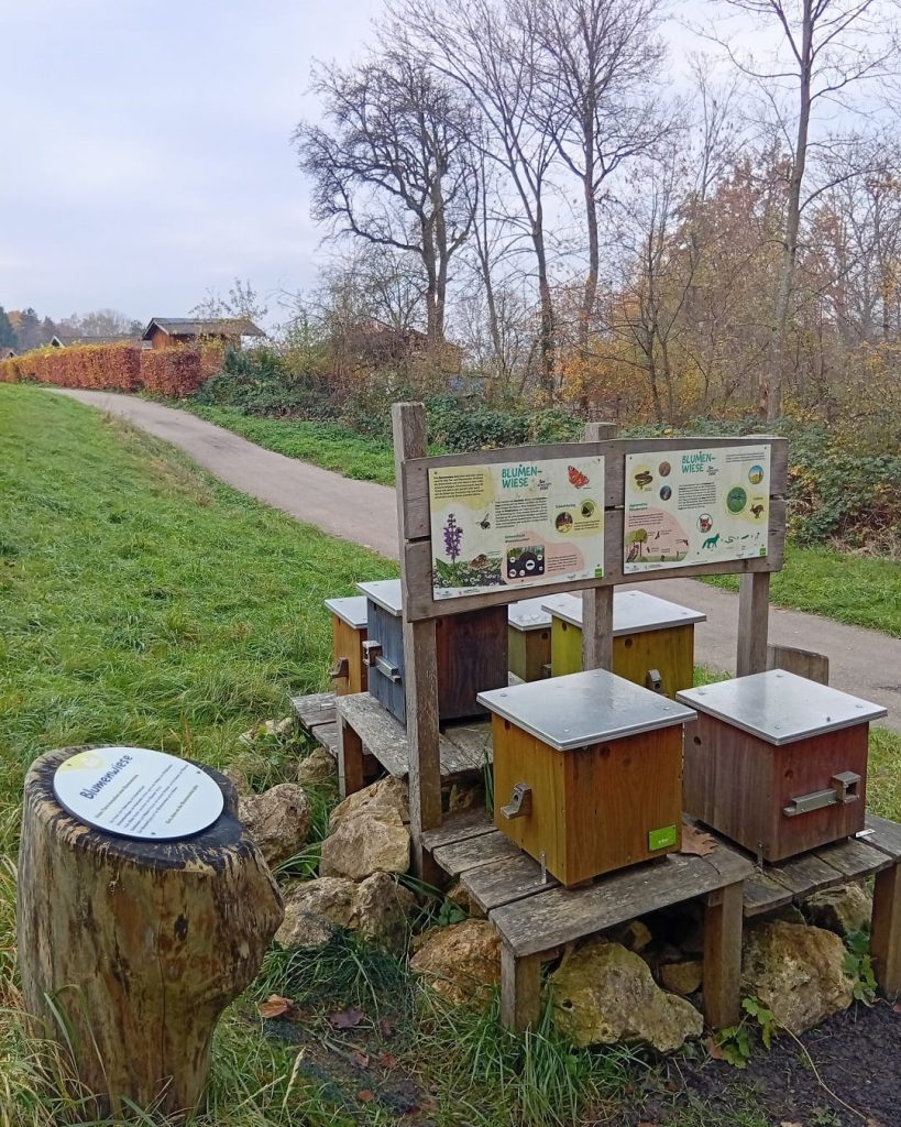 Nisthilfen und Bienenkästen als Teil des Naturschutzes am Biodiversitätspfad Hardt