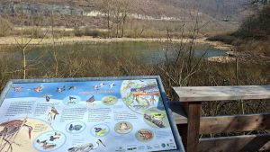 Informationstafel des Naturlehrpfads am Weiher im Rohrachtal bei Geislingen an der Steige mit Blick auf Wasser, Wiesen und den Albtrauf.