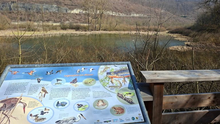 Informationstafel des Naturlehrpfads am Weiher im Rohrachtal bei Geislingen an der Steige mit Blick auf Wasser, Wiesen und den Albtrauf.
