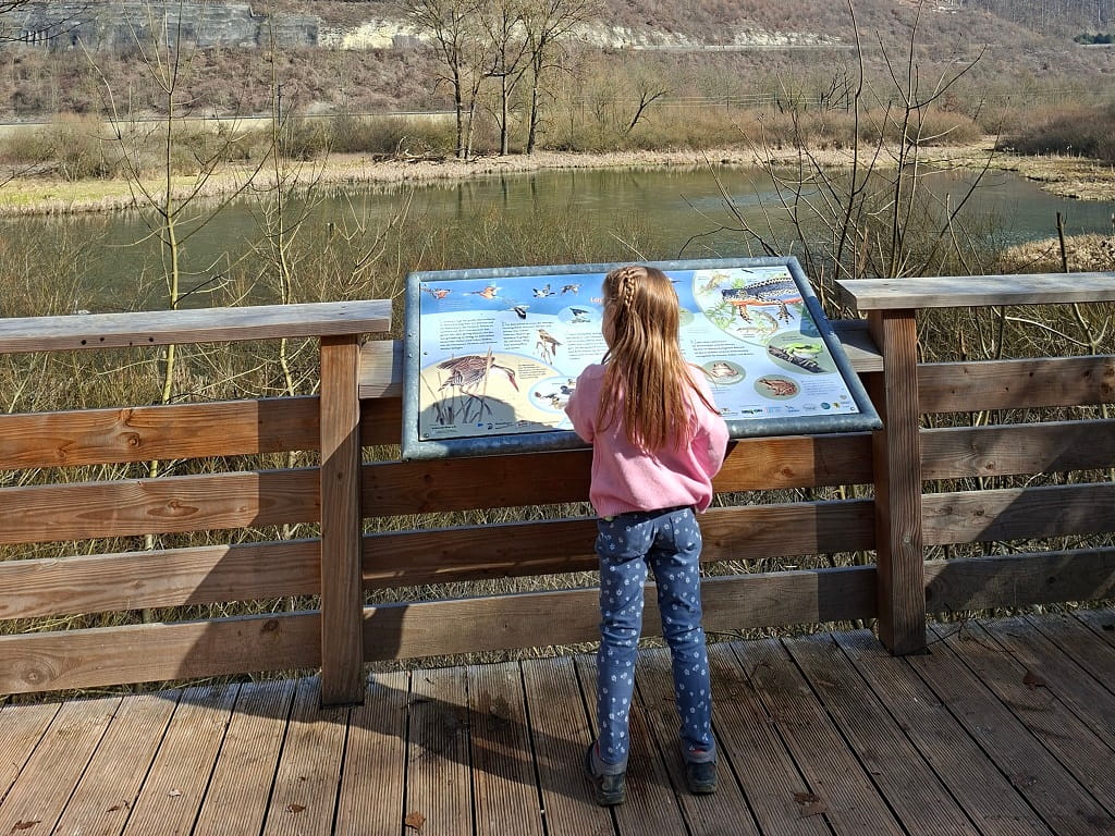 Kind betrachtet eine Informationstafel des Naturlehrpfads auf einer Holzplattform mit Blick auf einen Weiher im Rohrachtal bei Geislingen an der Steige.