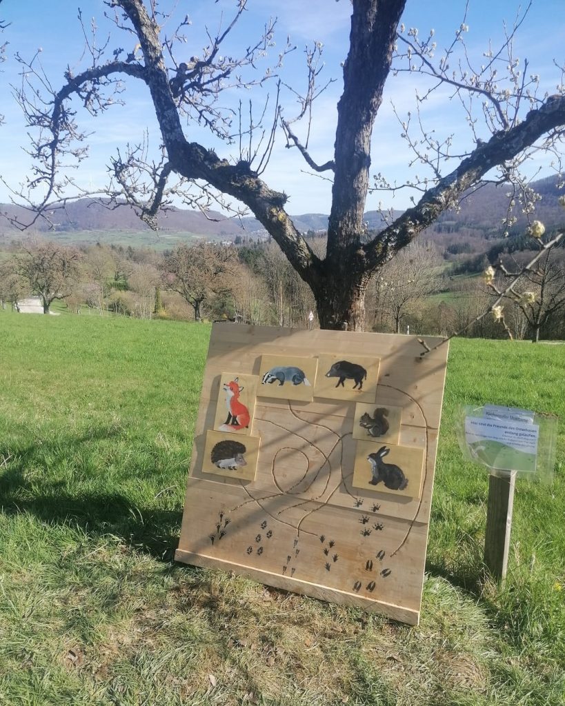 Holztafel mit Tiermotiven und Spurenrätsel auf dem Osteraktivpfad in Gingen an der Fils, umgeben von blühenden Obstbäumen und grüner Wiesenlandschaft.