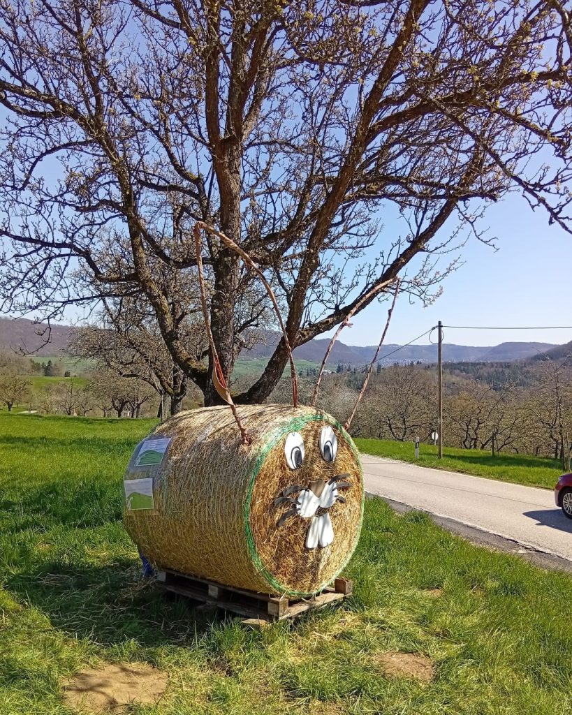 Großer Strohhase aus einer Heuballenrolle am Wegesrand des Osteraktivpfads in Gingen an der Fils, umgeben von Obstbäumen und frühlingshafter Landschaft.