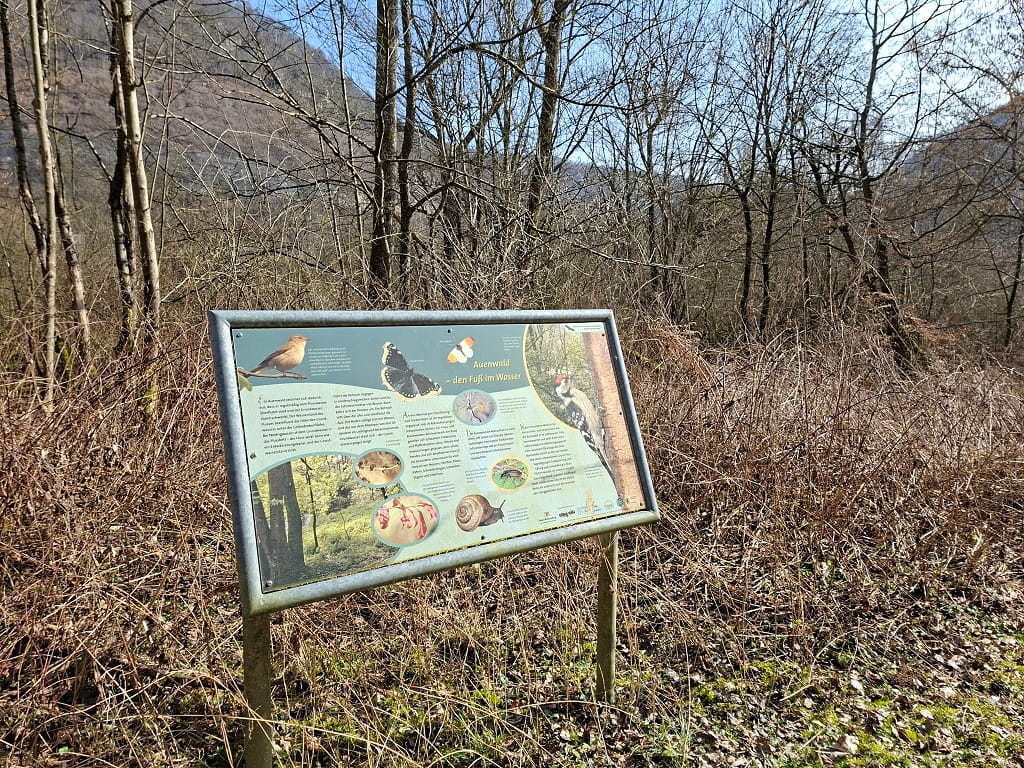 Informationstafel des Naturlehrpfads im Rohrachtal mit Illustrationen zu Tieren und Pflanzen in einer Waldlandschaft bei Geislingen an der Steige.