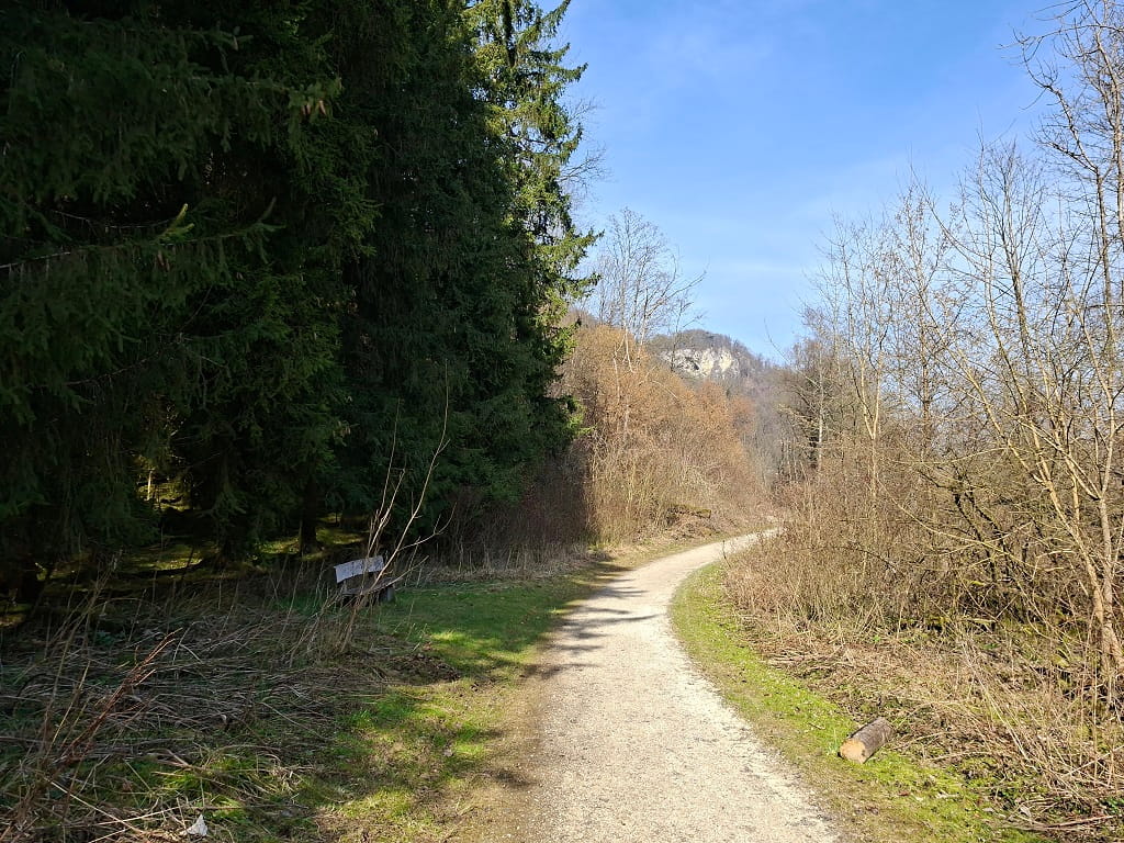 Gut begehbarer Naturweg bei Geislingen an der Steige, umgeben von Wald und Sträuchern, mit Blick auf den Albtrauf.