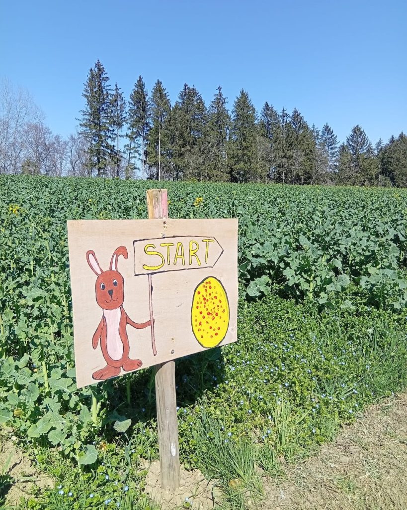 Holzschild mit gemaltem Osterhasen und „Start“-Hinweis am Beginn des Osteraktivpfads in Gingen an der Fils, vor einer grünen Frühlingslandschaft.