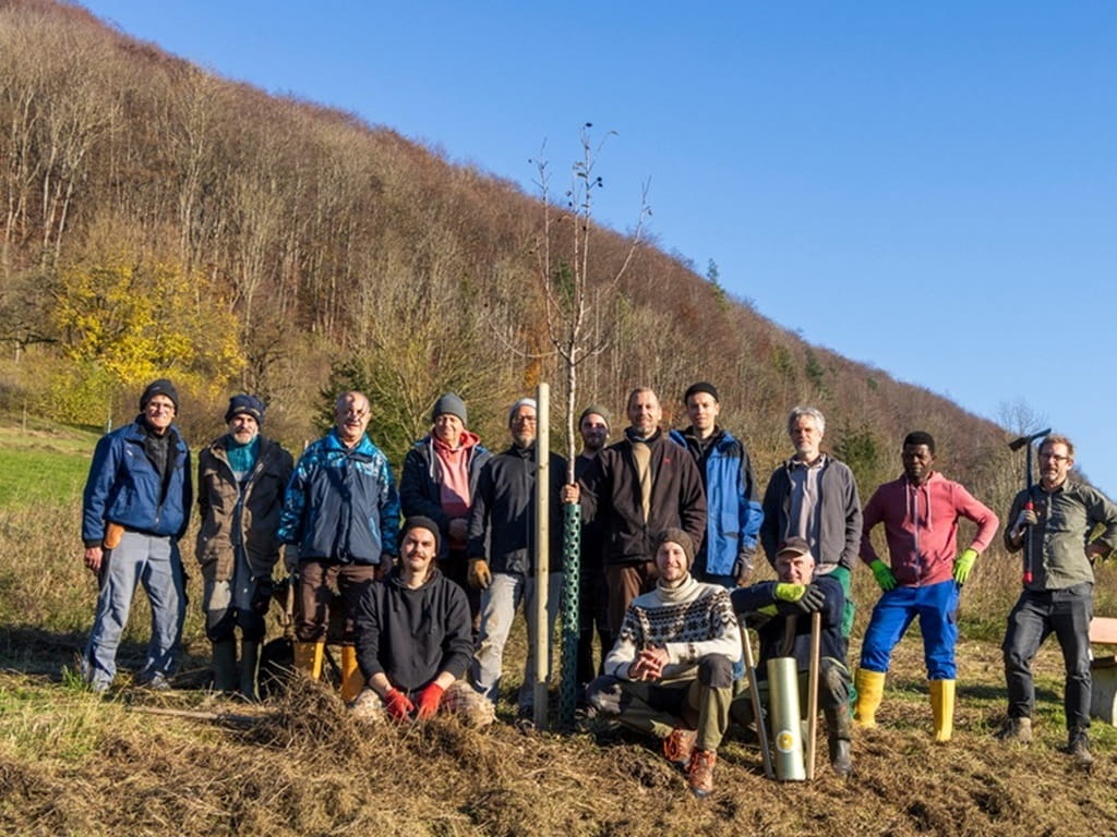 Ehrenamtliche Mitglieder der Schwäbischen ObstArche Fils-Alb bei einer Pflanzaktion auf einer Streuobstwiese
