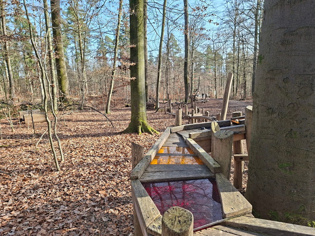 Waldmurmelbahn im Oberholz Göppingen mit mehreren Holzbahnen und farbigen Elementen entlang eines ruhigen Waldwegs, eingebettet in eine naturnahe Umgebung mit Laubbäumen