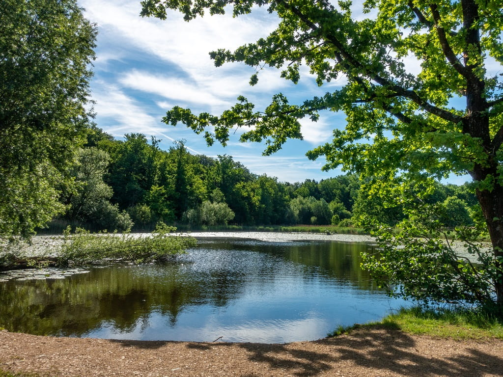 Charlottensee bei Schloss Filseck – Natur und Wanderstrecke der WirWunder Spendenwanderung