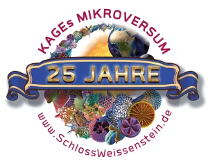 Logo 25 Jahre Kages Mikroversum auf Schloss Weißenstein mit Darstellung von Mikrowelten und Erde