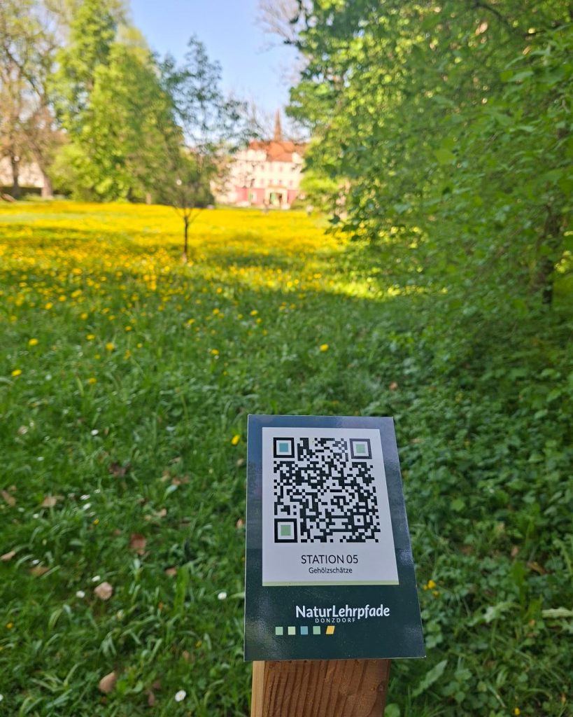 Blick über eine blühende Wiese im Schlosspark Donzdorf mit einer Station des Naturlehrpfads im Vordergrund. Auf dem Schild befindet sich ein QR-Code zur interaktiven Entdeckung der Natur. Im Hintergrund sind Bäume und das Donzdorfer Schloss zu sehen.