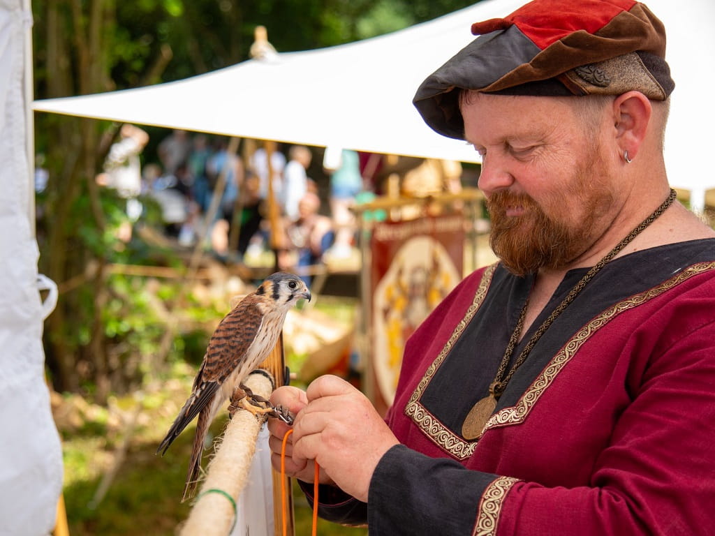 Ein mittelalterlich gekleideter Falkner steht auf dem Gelände des StauferSpektakels mit einem Greifvogel auf der Hand.