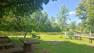 Spielplatz am Feuersee in Dürnau mit Rutsche, Trampolin, Sitzbänken und Tischtennisplatte auf einer grünen Wiese unter Bäumen.
