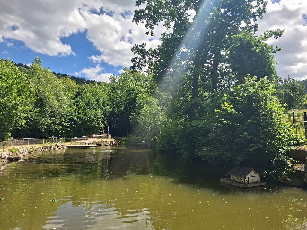 Blick auf den Feuersee in Dürnau mit umliegenden Bäumen, Uferbereich und einem kleinen schwimmenden Häuschen auf dem Wasser.