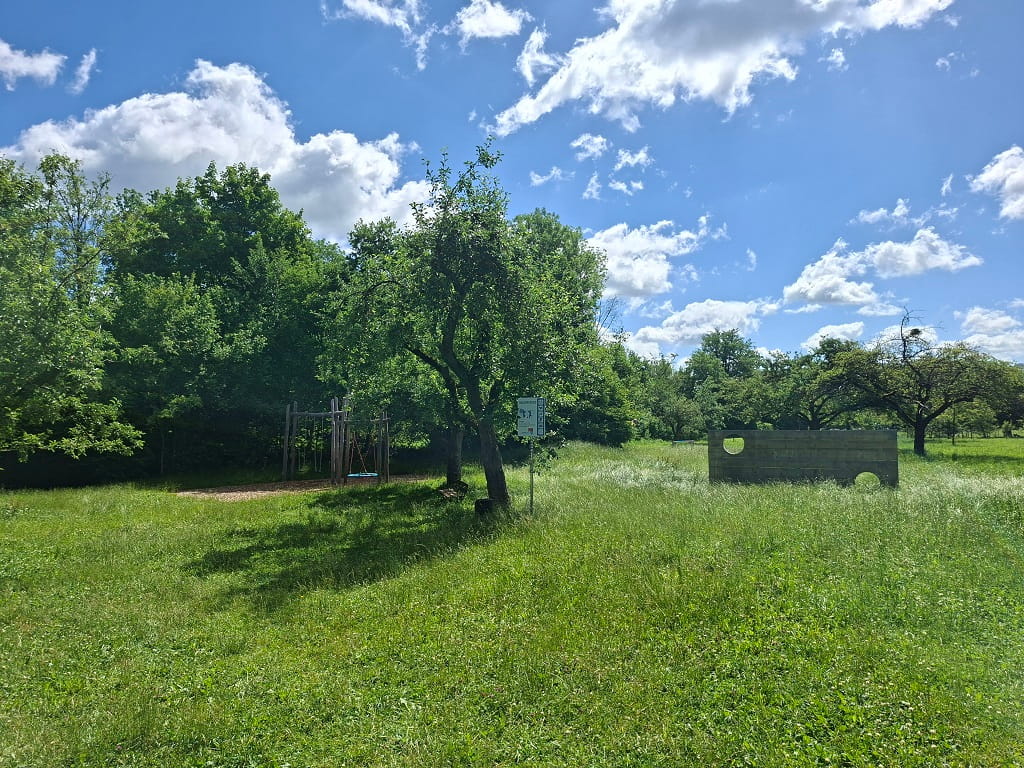 Grüne Wiese am Spielplatz mit Bäumen, Spielbereich und Naturkulisse.