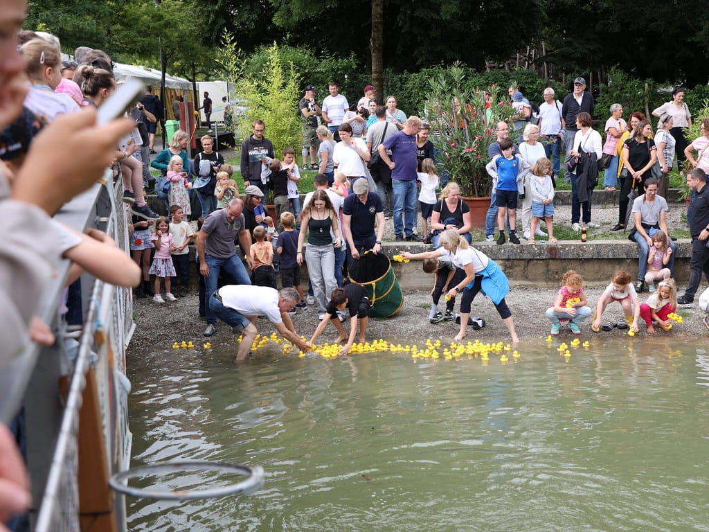 Viele gelbe Badeenten schwimmen beim Entenrennen am Familientag der FerienKultur Rechberghausen 2026 im Wasser, während Besucherinnen und Besucher am Ufer zuschauen.
