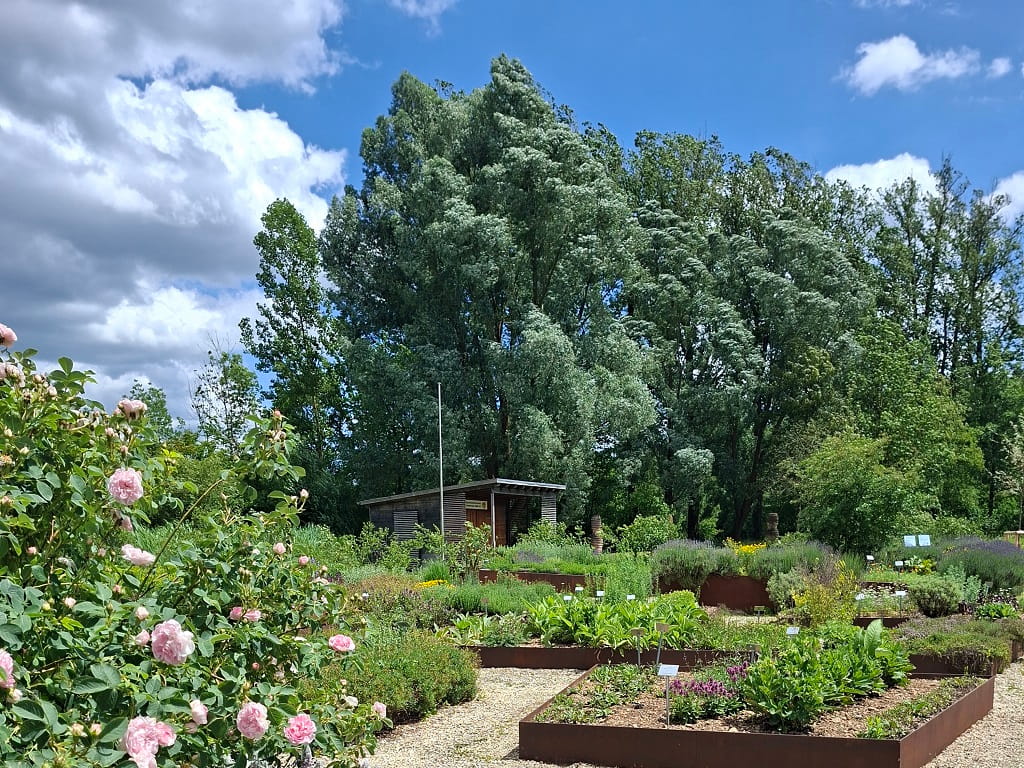 Blühende Gartenanlage mit Rosen, Stauden und Beeten im Brenzpark Heidenheim.