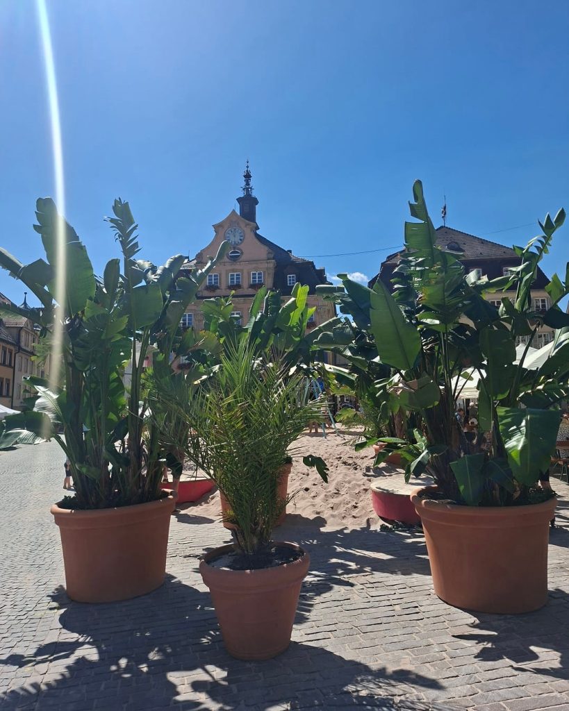 Palmen und große Grünpflanzen rund um den Pop-up-Spielplatz auf dem Oberen Marktplatz in Schwäbisch Gmünd, im Hintergrund ein historisches Gebäude mit Uhrturm.