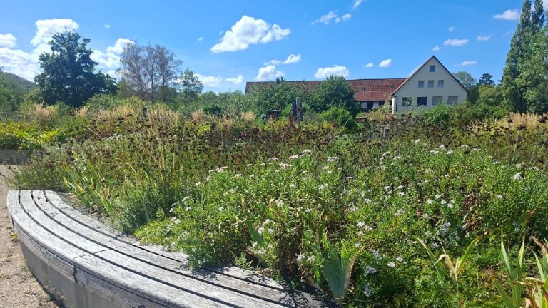 Blühende Stauden und naturnahe Bepflanzung am Biodiversitätspfad der WALA Heilmittel GmbH in Bad Boll