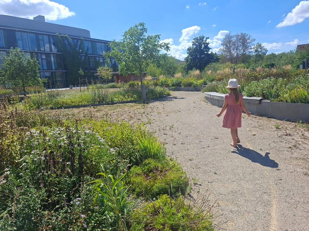 Kind auf dem Biodiversitätspfad der WALA Heilmittel GmbH in Bad Boll zwischen naturnah gestalteten Beeten und Grünflächen
