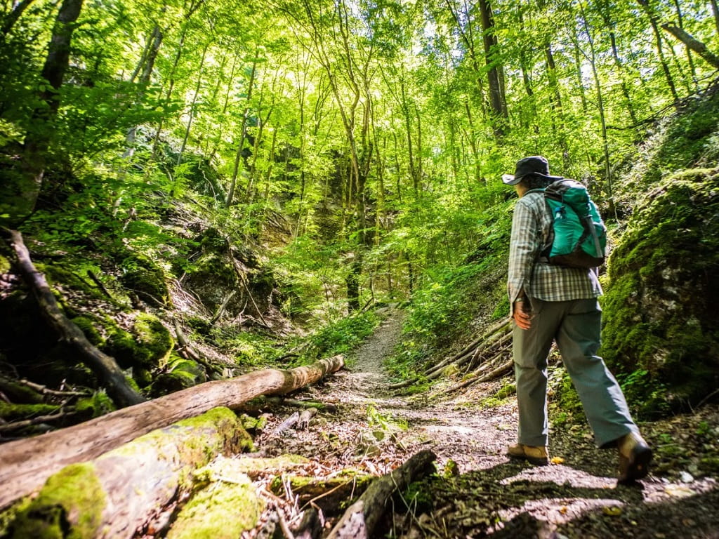Wanderer auf einem schattigen Waldweg der Geislinger Felsen-Tour